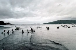 Ein hei&szlig; begehrter Beruf: Muschelsammlerinnen in der R&iacute;a von Noia, Galicien
