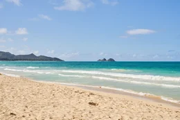 K&ouml;chin Emma reist nach Hawaii.  +++ Die Verwendung des sendungsbezogenen Materials ist nur mit dem Hinweis und Verlinkung auf RTL+ gestattet. +++