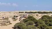 Auf Pferden und in geschm&uuml;ckten Kutschen machen sich die Pilger auf den Weg durch den Nationalpark Coto de Do&ntilde;ana zum Wallfahrtsort El Roc&iacute;o. Einmal im Jahr, zu Pfingsten, versammeln sich bis zu 800.000 Pilger am andalusischen Pilgerort, um einer Marienstatue zu huldigen.