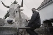 Rind Anton kam als K&auml;lbchen nach einem Shooting f&uuml;r einen B&auml;uerinnen-Kalender zu Andreas Reiner.