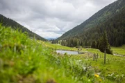 Das Bild zeigt einen Teich. Das Bild zeigt einen Teich.