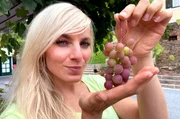 Maike Tschorn kostet, neben anderen regionalen Köstlichkeiten, auch Wein aus der Steiermark. Maike Tschorn kostet, neben anderen regionalen Köstlichkeiten, auch Wein aus der Steiermark.