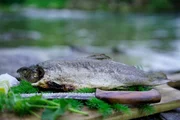 Gegrillter Fisch und Messer Gegrillter Fisch und Messer