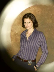 (1. Staffel) - Kate Beckett (Stana Katic) ist eine hartn&auml;ckige, clevere Detektivin der Mordkommission des New York Police Department.