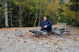 Die Verhaltensbiologin Sonia Kleindorfer und ihr Team erforschen das Verhalten von Graug&auml;nsen an der Konrad-Lorenz-Forschungsstelle in Gr&uuml;nau, im &ouml;sterreichischen Almtal.