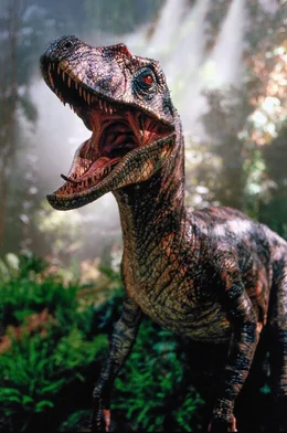 "Jurassic Park III", Dem Pal&auml;ontologen Dr. Grant fehlt das Geld f&uuml;r die Erforschung der Intelligenz von Velociraptoren. Das Angebot des Ehepaares Paul und Amanda Kirby, eine Expedition in ein Saurier-Reservat zu finanzieren, kommt ihm da gerade recht. Beim &Uuml;berflug der Isla Sorna kommt es zur Bruchlandung. Die Insel gilt seit Grants &Uuml;berlebenskampf gegen den Tyrannosaurus Rex als absolutes Sperrgebiet. Mit gefr&auml;&szlig;igen Spinosaurieren hat sich dort aber inzwischen eine noch viel gef&auml;hrlichere Spezies entwickelt.  SENDUNG: ORF eins - SO - 28.06.2020 - 15:20 UHR. - Veroeffentlichung fuer Pressezwecke honorarfrei ausschliesslich im Zusammenhang mit oben genannter Sendung oder Veranstaltung des ORF bei Urhebernennung.