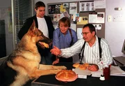 "Kommissar Rex", "Rex r&auml;cht sich." Eine ungew&ouml;hnliche Zeitungsmeldung erregt die Aufmerksamkeit von Kommissar Brandtner so sehr, dass er zu recherchieren beginnt. Ein Jugendlicher ist angeblich in einem Park von einem Hund totgebissen worden. Im Bild (v.li.): Gedeon Burkhard (Alexander Brandtner), Heinz Weixelbraun (Christian B&ouml;ck), Wolf Bachofner (Peter H&ouml;llerer).