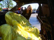 Detective Alexandra Eames (Kathryn Erbe) ist schockiert von dem Anblick des Autowracks. Wer hat die Bombe gezündet? Detective Alexandra Eames (Kathryn Erbe) ist schockiert von dem Anblick des Autowracks. Wer hat die Bombe gezündet?