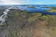 Salzmarschen bei Crystal River: Dieses Gewirr aus Inseln und nat&uuml;rlichen Kan&auml;len geh&ouml;rt zur Heimat der Seek&uuml;he. Die Gezeiten sp&uuml;len gro&szlig;e Mengen N&auml;hrstoffe herbei, von denen zahlreiche Tiere profitieren.