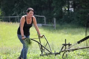 Antonia working on the field with the horse