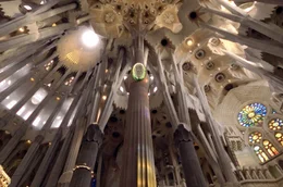 Unter den Baumwipfeln: Das Innere der Sagrada Fam&iacute;lia ist als floral-botanische, wie in Stein gemei&szlig;elte Pflanzenwelt konzipiert.
