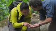 Albert Lin und Santiago Giraldo betrachten das Gold der Ciudad Perdida.
