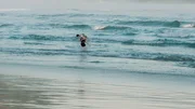 Seltene Momente der Unbeschwertheit: Owen James (Fionn O'Shea, rechts) und Philip Fairfax (Robert Aramayo, links) toben im Meer an der englischen K&uuml;ste.