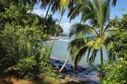 Franz&ouml;sisch-Guayana: tropisches Paradies in S&uuml;damerika K&uuml;ste