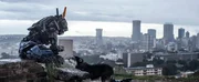 Chappie (Sharlto Copley)