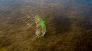 A reconstruction of the wrecked Spanish ship, The Neustra Senora de Atocha, shown on the sea floor of the drained Florida Keys. A reconstruction of the wrecked Spanish ship, The Neustra Senora de Atocha, shown on the sea floor of the drained Florida Keys.