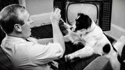 Die Fu&szlig;ball-Weltmeisterschaft 1966 in England: Pickles, der Heldenhund, der die Jules-Rimet-Troph&auml;e fand, nachdem diese vor dem Turnier gestohlen worden war.