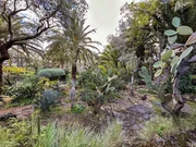 Parco Patern&ograve; del Toscano in Sizilien.