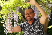 Karl Ploberger widmet sich dem Blauregen, die sonnige Blütenpracht und schattige Wurzeln bevorzugt. Gut durchlässige Erde, Drainageschichten und ausreichend Feuchtigkeit ohne Staunässe sind entscheidend. Karl Ploberger widmet sich dem Blauregen, die sonnige Blütenpracht und schattige Wurzeln bevorzugt. Gut durchlässige Erde, Drainageschichten und ausreichend Feuchtigkeit ohne Staunässe sind entscheidend.