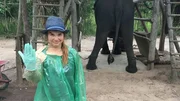 Beim Elefantendoktor 4; Beim Elefantendoktor 4;