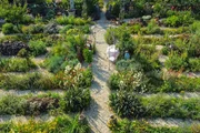 Hinter den Hecken Lebensräume-Garten Staffel 7 Folge 8 Regula Gysel will ihren Garten in Wilchingen SH mit vielen Insekten und Kleintieren teilen. Hinter den Hecken Lebensräume-Garten Staffel 7 Folge 8 Regula Gysel will ihren Garten in Wilchingen SH mit vielen Insekten und Kleintieren teilen.