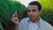 Sherif Rizkallah besucht in Brasilien Zuckerrohrplantagen und schaut sich an, wo der Rohstoff f&uuml;r Bioplastik herkommt.