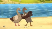 G&auml;nse.