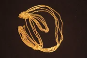 KEY WEST, FLORIDA - Gold chain from the Atocha. KEY WEST, FLORIDA - Gold chain from the Atocha.
