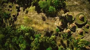 CGI replica of Kogi village huts discovered in Colombia.