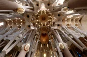 Unter den Baumwipfeln: Das Innere der Sagrada Fam&iacute;lia ist als floral-botanische, wie in Stein gemei&szlig;elte Pflanzenwelt konzipiert.
