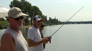Modellbau-Fans an der Donau