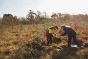 Ein renaturiertes Hochmoor in Deutschland wird bezüglich seiner Wasserspeicherfunktion analysiert und als vielversprechendes und natürliches Mittel gegen Trinkwassermangel gehandelt. Ein renaturiertes Hochmoor in Deutschland wird bezüglich seiner Wasserspeicherfunktion analysiert und als vielversprechendes und natürliches Mittel gegen Trinkwassermangel gehandelt.