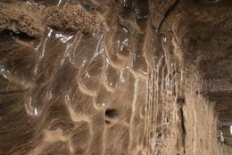 Permafrost ist mehr als gefrorener Boden, denn er enth&auml;lt eine Menge organisches Material.