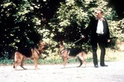 Kommissar Rex - Rache Kommissar Rex - Rache