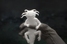 .