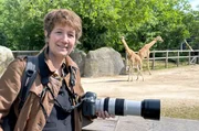 Clarisse Rebotier beobachtet über lange Zeit hinweg die Bewegungen und Körperhaltungen der Tiere, um sie mit ungewöhnlichen Motiven auf humorvolle Weise in Szene zu setzen. Clarisse Rebotier beobachtet über lange Zeit hinweg die Bewegungen und Körperhaltungen der Tiere, um sie mit ungewöhnlichen Motiven auf humorvolle Weise in Szene zu setzen.