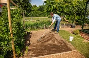 Peter Rasch erklärt, was man tun kann, um seinen Garten fit zu machen für diese extremeren Bedingungen. Dazu braucht man gesunde Böden, die Wasser aufnehmen und speichern können, es muss gemulcht werden, um den Boden vor Austrocknung zu schützen. Peter Rasch erklärt, was man tun kann, um seinen Garten fit zu machen für diese extremeren Bedingungen. Dazu braucht man gesunde Böden, die Wasser aufnehmen und speichern können, es muss gemulcht werden, um den Boden vor Austrocknung zu schützen.