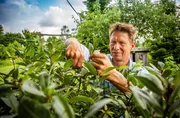 Peter Rasch erklärt, was man tun kann, um seinen Garten fit zu machen für diese extremeren Bedingungen. Peter Rasch erklärt, was man tun kann, um seinen Garten fit zu machen für diese extremeren Bedingungen.