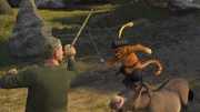 Shrek macht sich zusammen mit Esel Esel und dem Gestiefelten Kater auf den Weg, den zuk&uuml;nftigen K&ouml;nig von Weit, Weit, Weg zu finden. Ein gef&auml;hrliches Abenteuer beginnt ...
