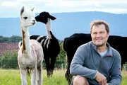 Mitch und Alpaka «Isa» Mitch und Alpaka «Isa»