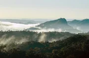 Urwald im Nordosten: Die Sava-Region ist das weltweite Zentrum f&uuml;r den Anbau von Vanille.