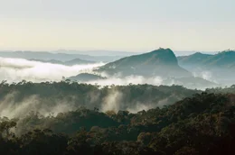 Urwald im Nordosten: Die Sava-Region ist das weltweite Zentrum f&uuml;r den Anbau von Vanille.