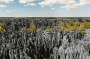 Nadelspitze Felsgesteine im Naturreservat Tsingy de Bemaraha: Der Sage nach siedelten hier die ersten Menschen auf Madagaskar, die Vazimba.