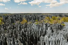 Nadelspitze Felsgesteine im Naturreservat Tsingy de Bemaraha: Der Sage nach siedelten hier die ersten Menschen auf Madagaskar, die Vazimba.