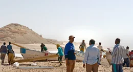 Ahmed Ali Farah (Mamargade).