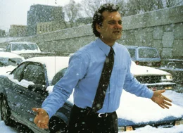 Der griesgr&auml;mige, zynische TV-Wettermann Phil Connors (Bill Murray) mu&szlig; immer wieder denselben Tag erleben: Den Tag des Murmeltiers.