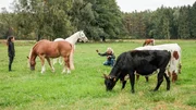 Katja Schnabel (r.) mit dem Knabstrupper "Kajwer". Katja Schnabel (r.) mit dem Knabstrupper "Kajwer".