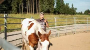 Bernd Hackl trifft auf einen alten Bekannten. Dass "Indio" eine harte Nuss ist, bekam der Horseman bei einem Training in der Vergangenheit schon einmal zu spüren. Wird er den Wallach auch diesmal geknackt bekommen? Bernd Hackl trifft auf einen alten Bekannten. Dass "Indio" eine harte Nuss ist, bekam der Horseman bei einem Training in der Vergangenheit schon einmal zu spüren. Wird er den Wallach auch diesmal geknackt bekommen?