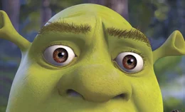 Kaum am Schloss seiner Schwiegereltern angekommen, ger&auml;t Shrek mitten in ein neues aufregendes Abenteuer ...