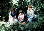 Mary Ellen (Judy Norton-Taylor, l.), der kleine Jeffrey (Keith Mitchell, M.) und ihr Bruder Ben (Eric Scott, r.) finden Reckless, den alten Hund der Waltons, tot im Wald.